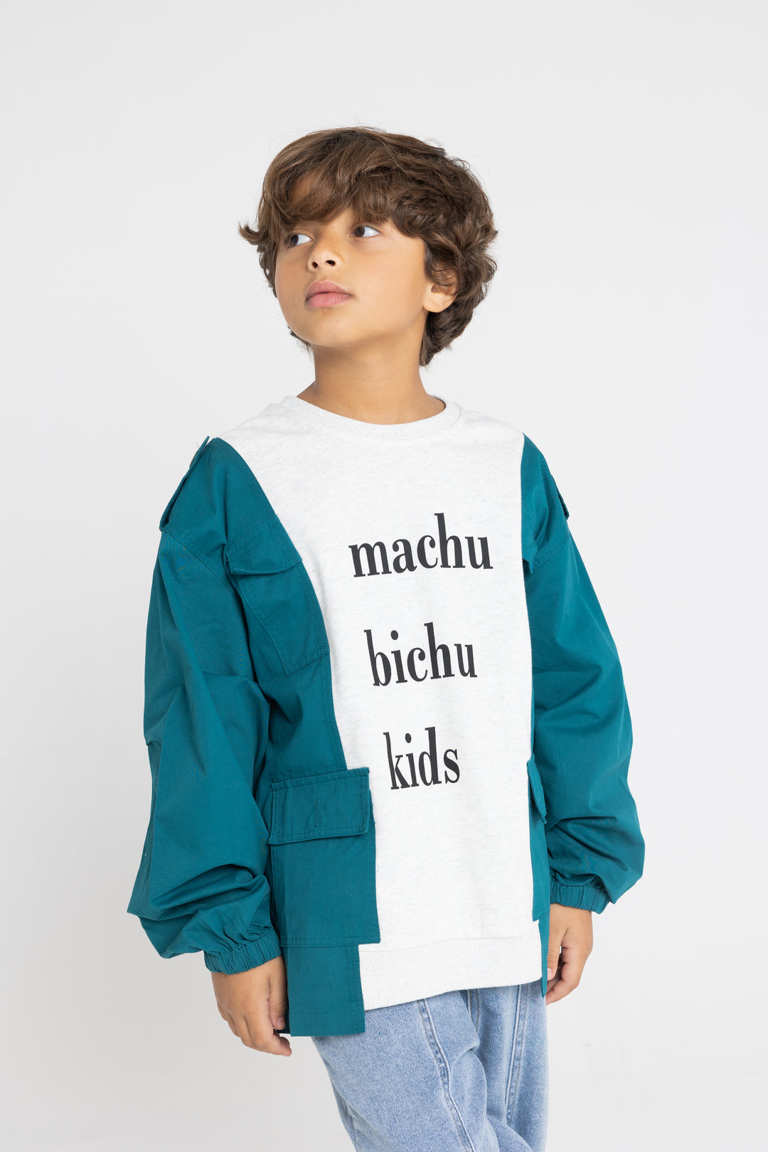 MACHU BICHU TSHIRT